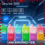 LANA BAR5000口可充电拋棄式一次性電子煙(3.0%)